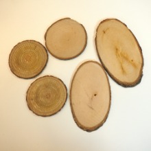 맘아트 에코 그리기 나무 대 5조각